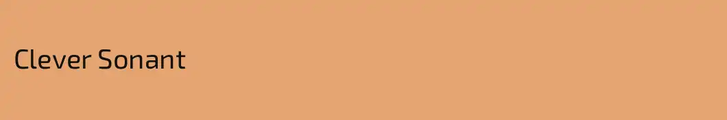 Clever Sonant